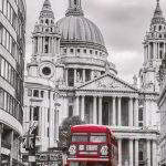 Study English Destination